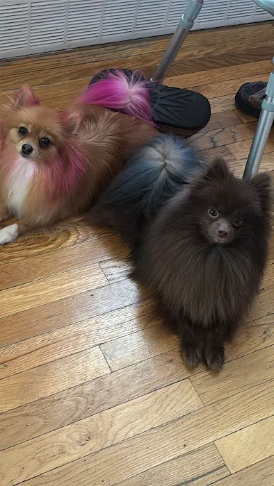 Citipups 12