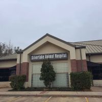 Silverlake Animal Hospital ico