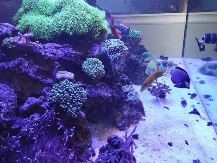 Reef Keepers 12