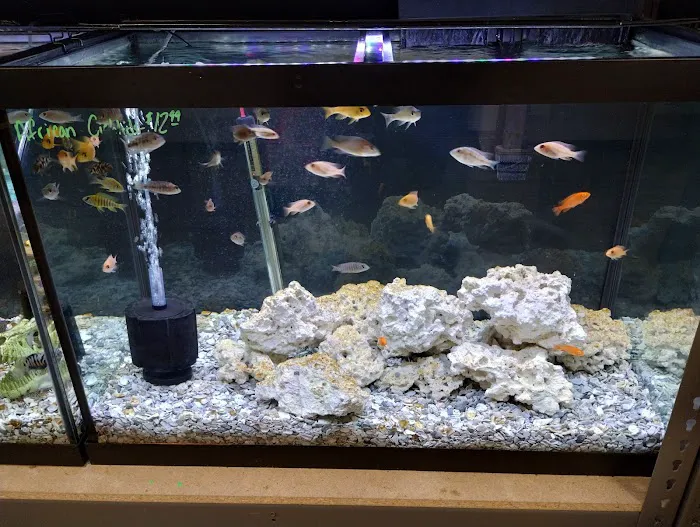 Reef Keepers 12