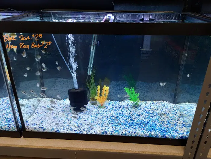Reef Keepers 12