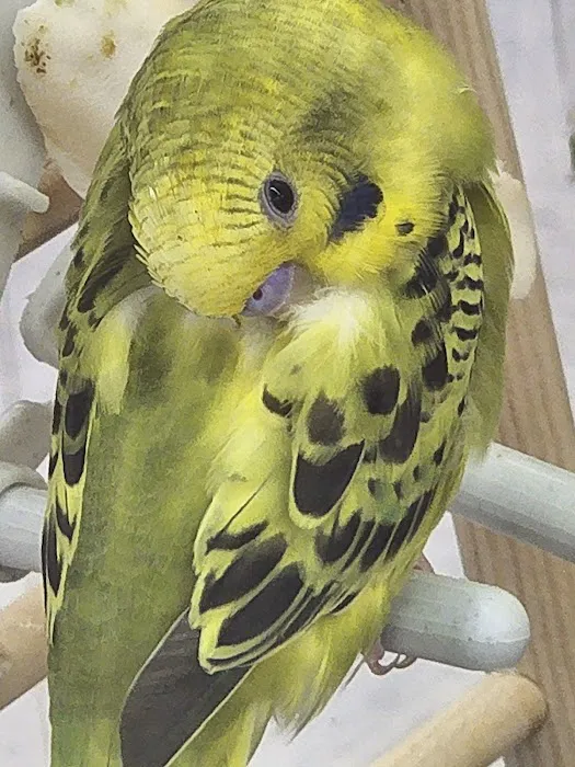Petco 12