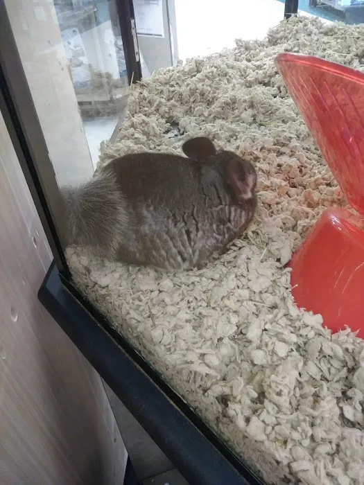 Petco 12