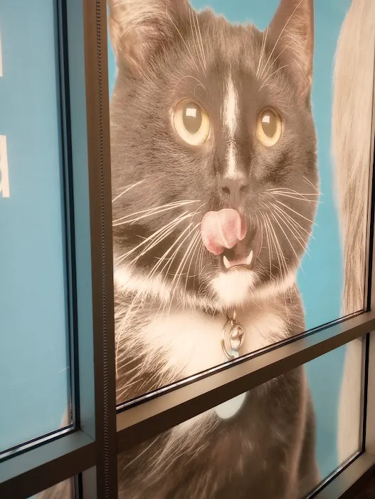 Petco 12