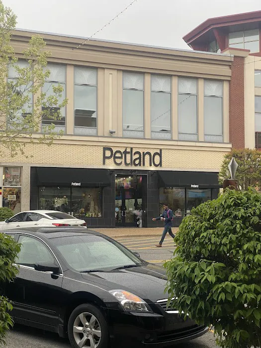 Petland Rogers 馃惗 12