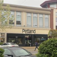 Petland Rogers 馃惗 ico