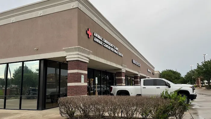 Pearland Animal Cancer and Referral Center 12