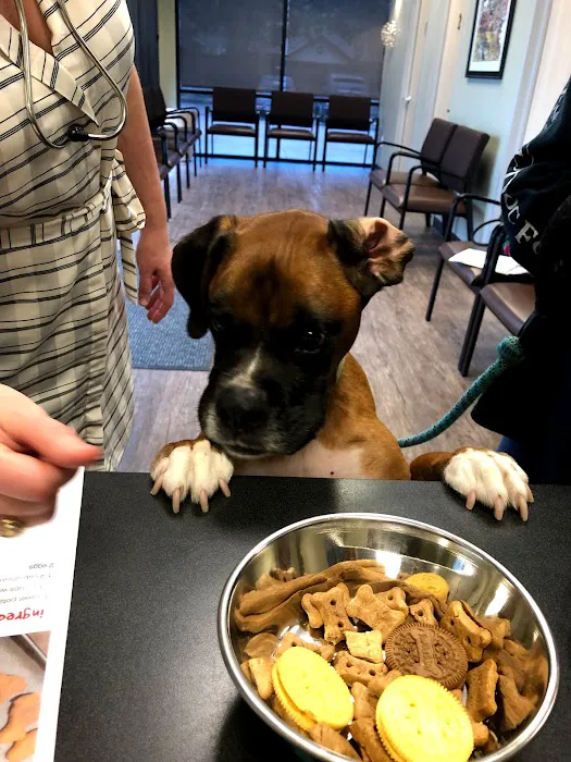 Pearland Animal Cancer and Referral Center 12