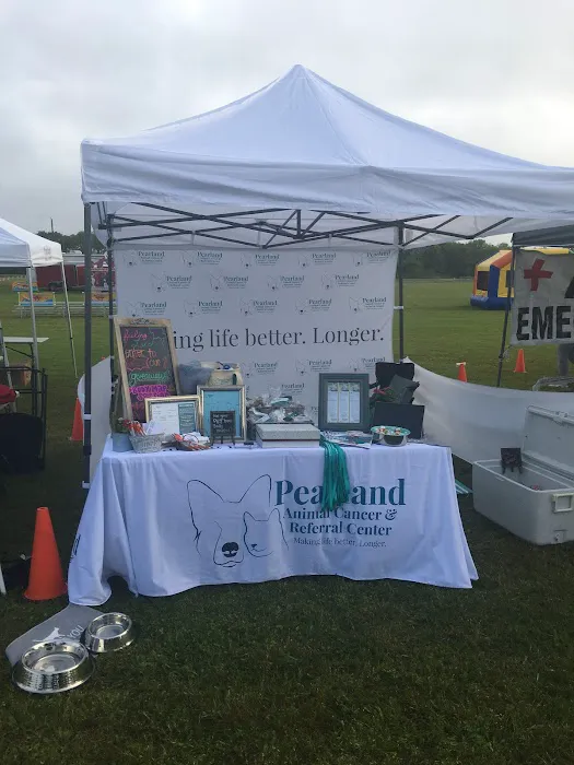 Pearland Animal Cancer and Referral Center 12