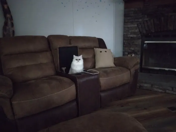 RB Cat House 2