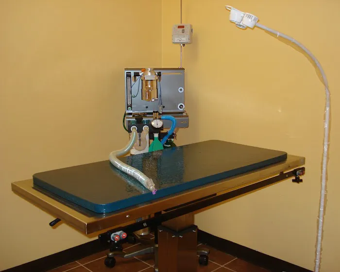 Veterinary Clinic of Pearland 12