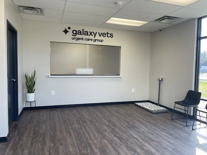 Houston Veterinary Walk-in & Urgent Care 12