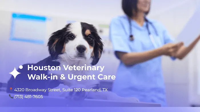 Houston Veterinary Walk-in & Urgent Care 12