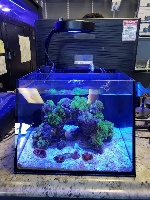 Worlds Under Water 12