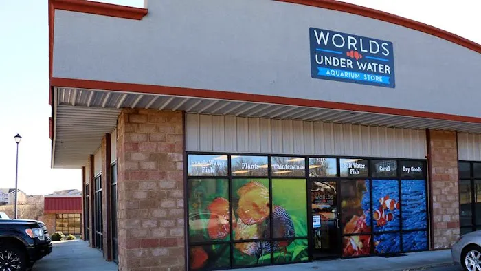 Worlds Under Water 12