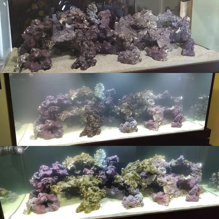 Worlds Under Water 12