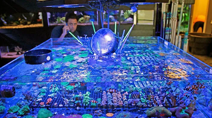 Worlds Under Water 12