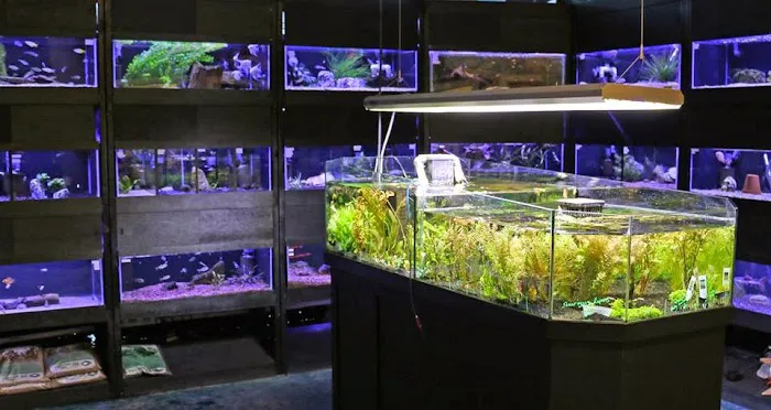 Worlds Under Water 12