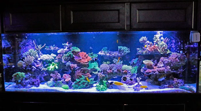 Worlds Under Water 12