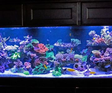 Worlds Under Water