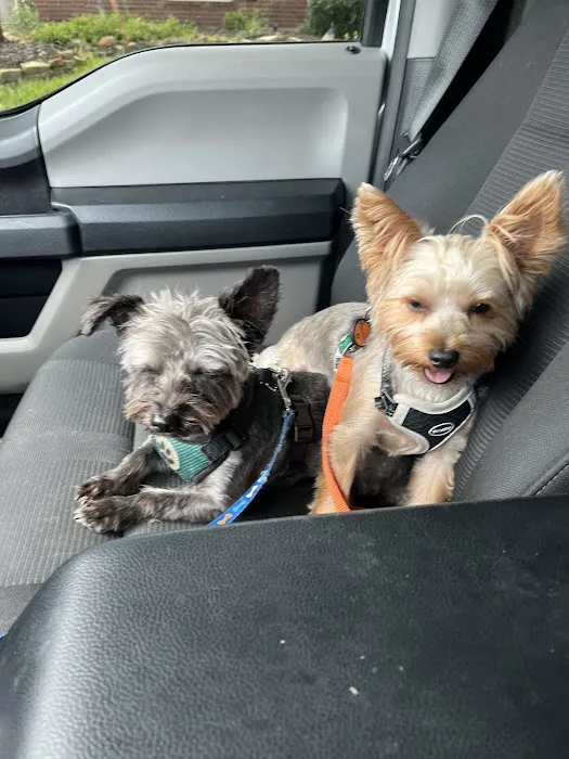 Banfield Pet Hospital 12