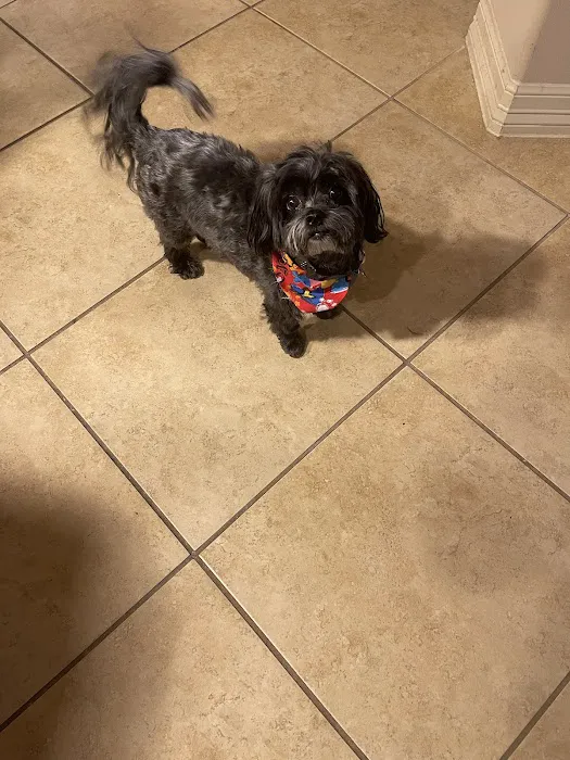 Banfield Pet Hospital 12