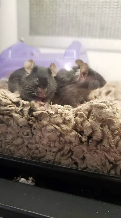 Petco 12