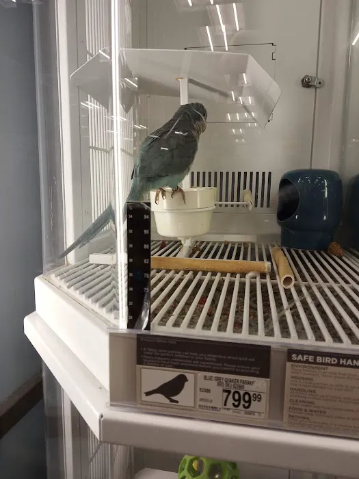 Petco 12
