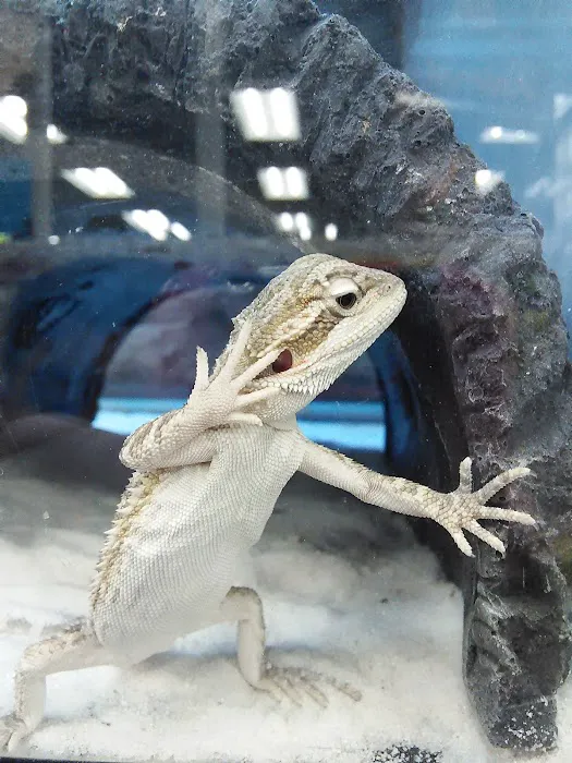 Petco 12