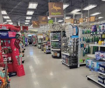 Petco