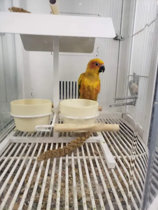 Petco 12