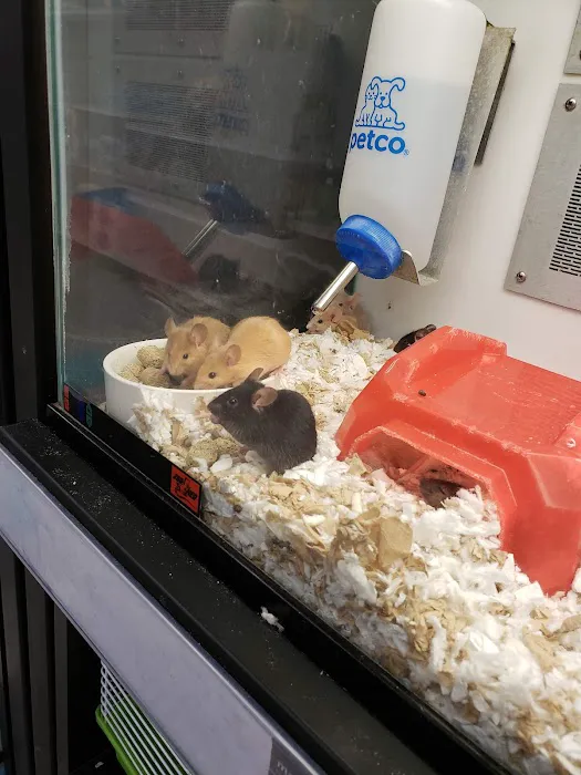 Petco 12