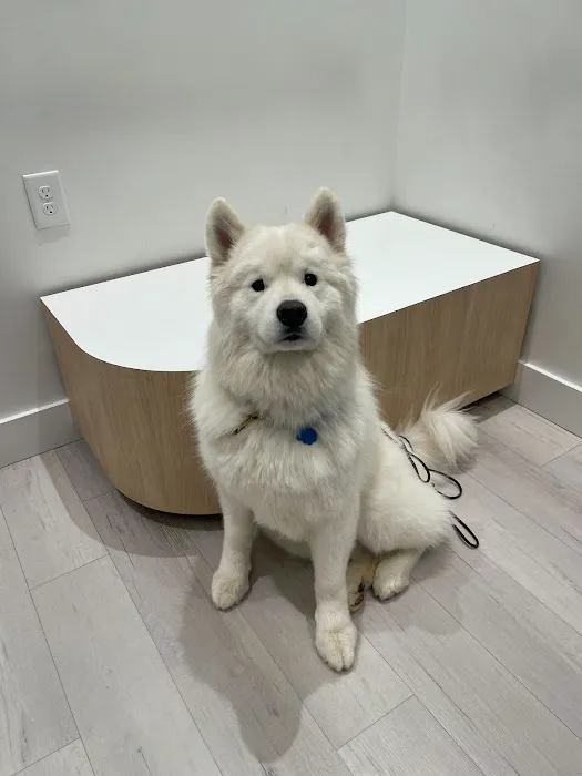 Petfolk Veterinary & Urgent Care - Pearland 12