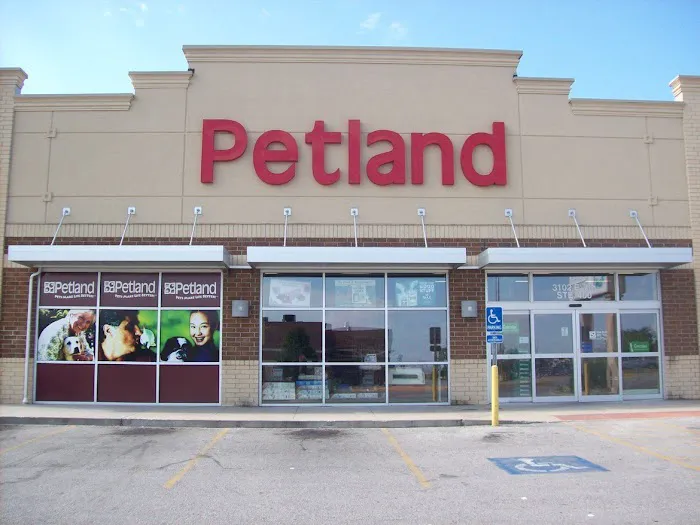 Petland Fayetteville 12