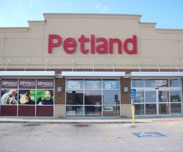 Petland Fayetteville
