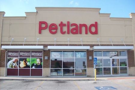 Petland Fayetteville