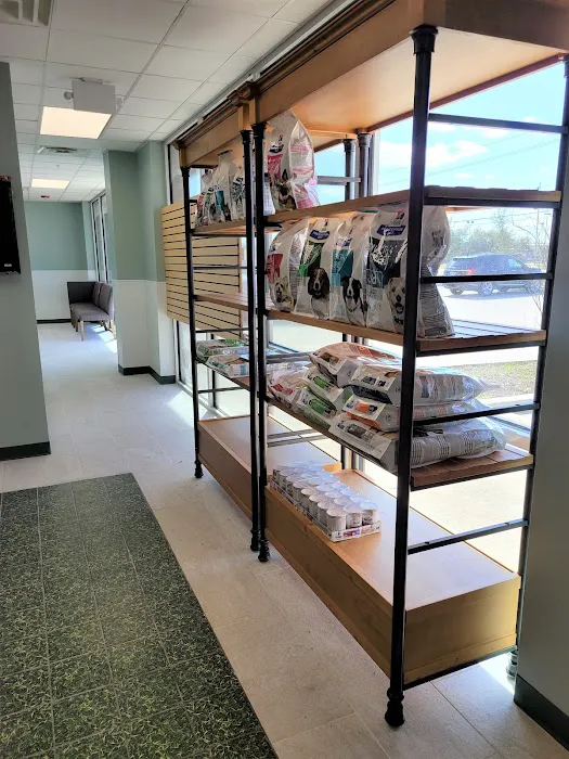 Safari Animal Hospital 12