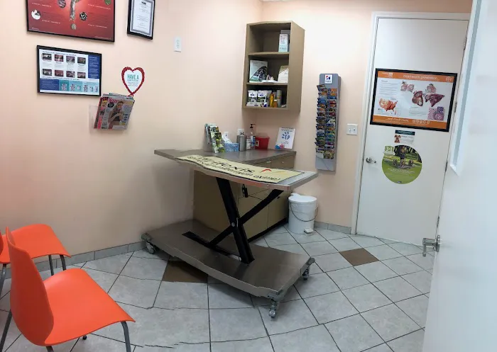 Citi Animal Hospital 12