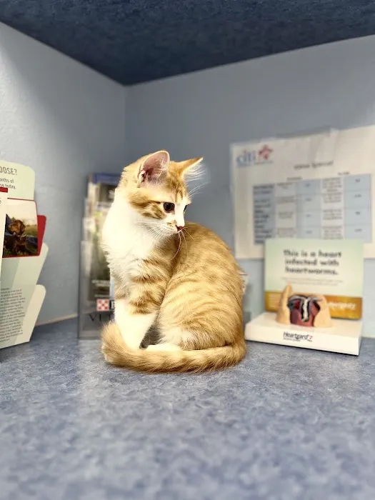 Citi Animal Hospital 12