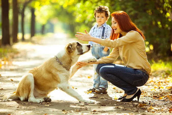 Citi Animal Hospital 12