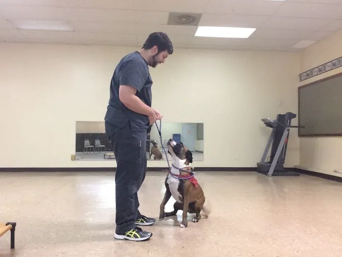 Advanced Pet Care of Clear Lake 12