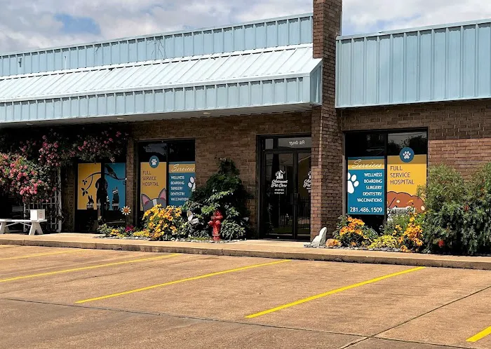 Advanced Pet Care of Clear Lake 12