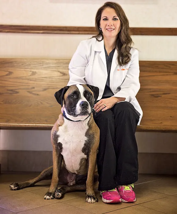 Advanced Pet Care of Clear Lake 12