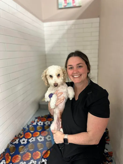 Advanced Pet Care of Clear Lake 12
