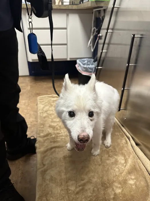 Neighborhood Veterinary Centers: NVC NASA 12