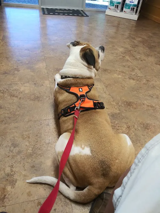 Neighborhood Veterinary Centers: NVC NASA 12