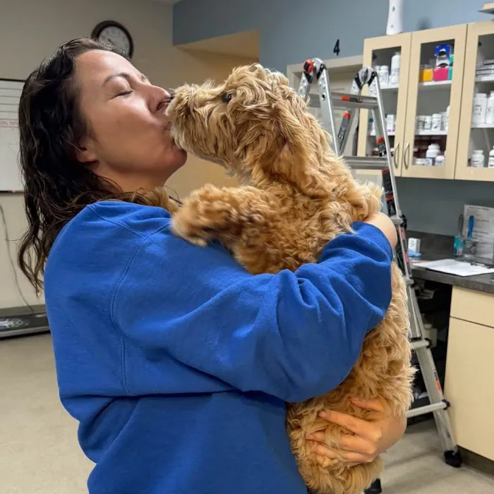 Neighborhood Veterinary Centers 12