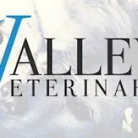 Valley Veterinary Care ico