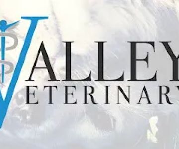 Valley Veterinary Care