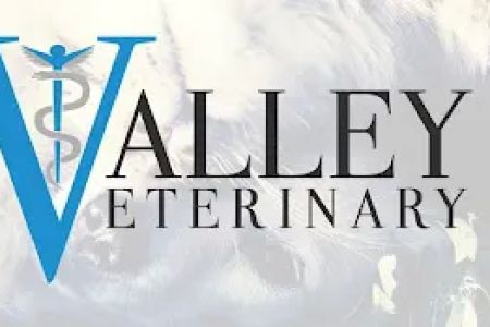 Valley Veterinary Care